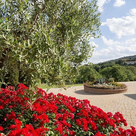 Villa Poggio Pellicciaia à Arezzo Extérieur photo